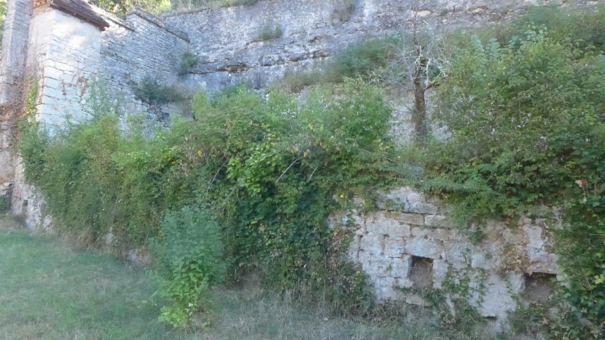 garden-before-works-garden-before-independent-works-